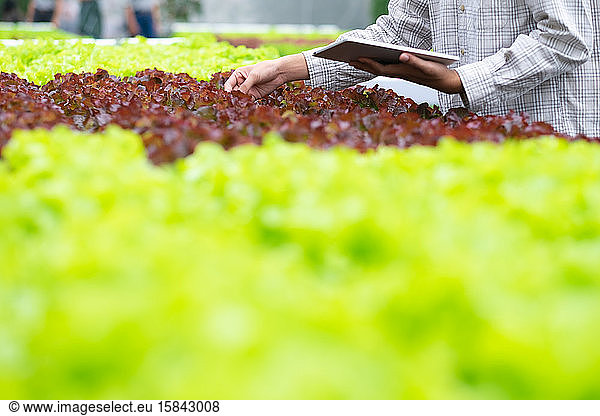 Smart farming using modern technologies in agriculture.
