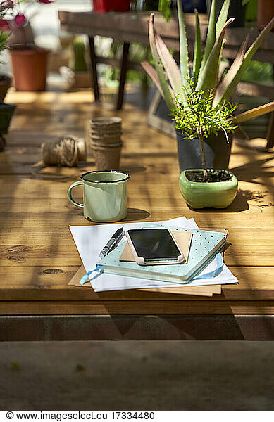 Smartphone mit Tagebuch und Stift neben einer Sukkulentenpflanze auf einem Holztisch im Hinterhof