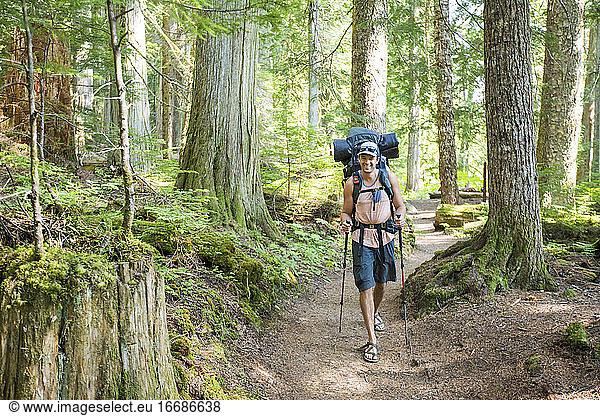 Smiling backpacker hikes on path through old growth forest inCanada.
