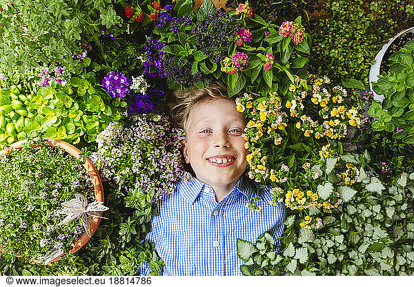 Smiling boy lying down amidst flowering plants