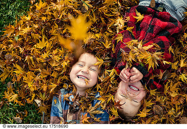 Smiling boys lying in leaf pile