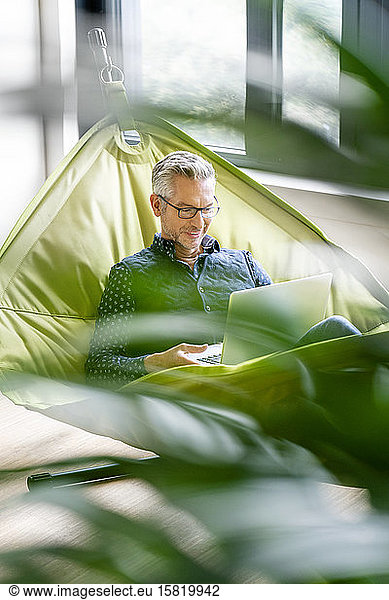 Smiling businessman sitting in hammock  using laptop