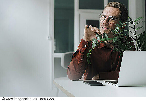 Smiling businessman touching leaf of plant and sitting at desk in office