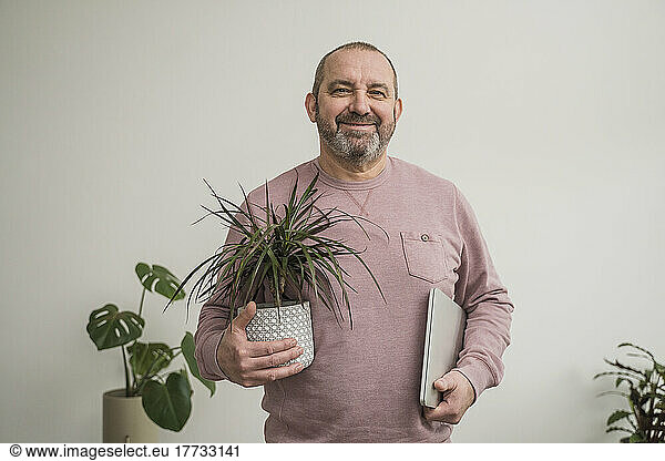 Smiling businessman with dragon tree and laptop at office