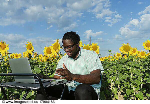 Smiling businessman working on laptop in sunflower field