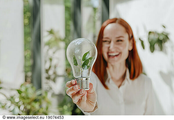Smiling businesswoman holding light bulb with leaves in office