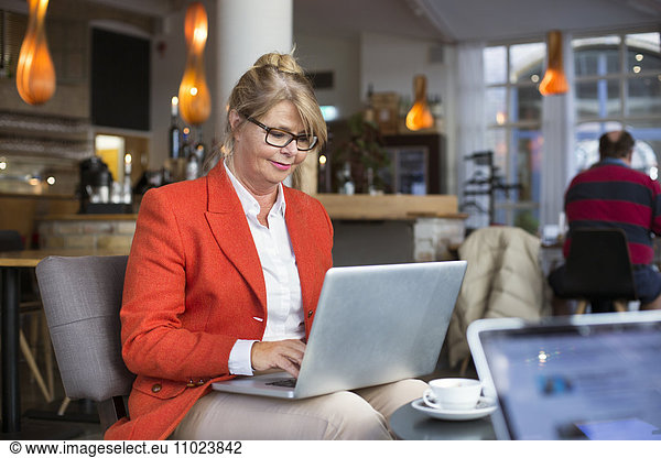 Smiling businesswoman using laptop in restaurant