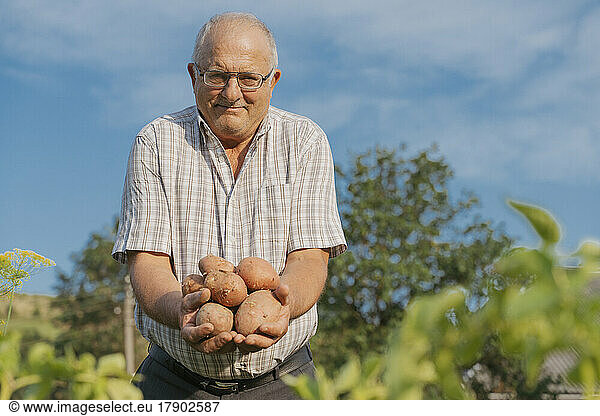 Smiling farmer holding organic potatoes standing at back yard