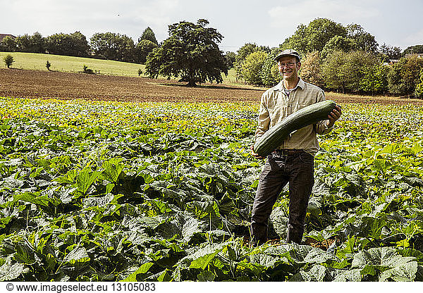 Smiling farmer standing in a field  holding large green pumpkin.