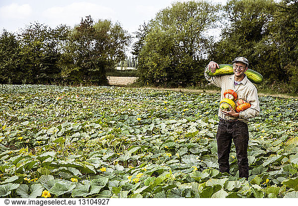 Smiling farmer standing in a field  holding selection of freshly harvested pumpkins.