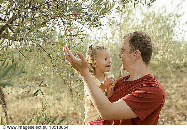 Smiling father showing olives on tree to daughter in garden