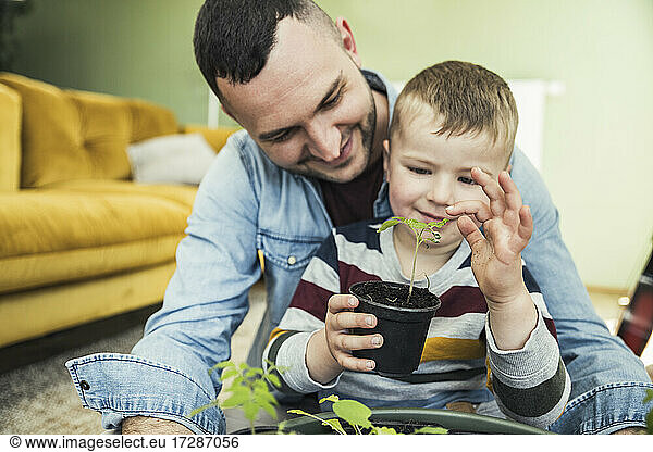 Smiling father sitting with son holding potted plants in living room