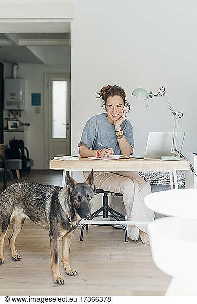 Smiling female freelancer sitting with hand on chin while looking at dog in apartment