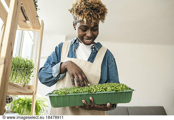 Smiling gardener holding container of microgreens at home