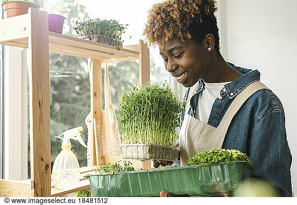 Smiling gardener smelling fresh microgreen at home