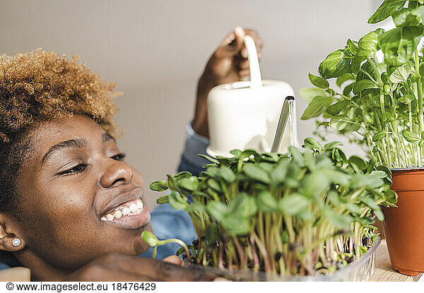 Smiling gardener watering microgreen plants at home