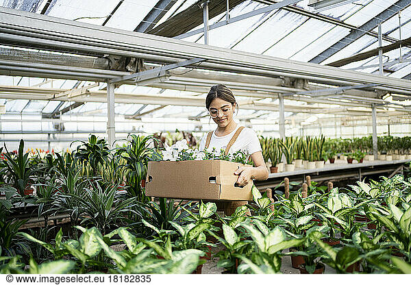 Smiling gardener with box of flowers standing in greenhouse