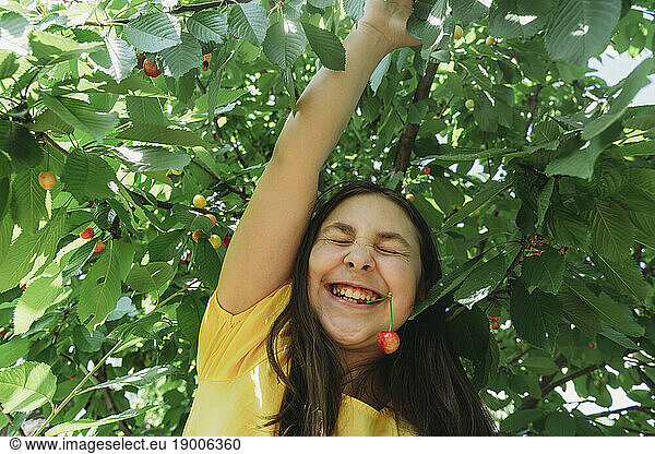 Smiling girl in yellow t-shirt biting cherry in garden