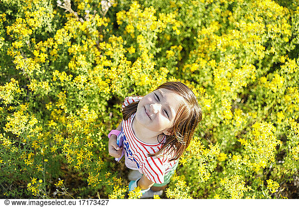 Smiling girl looking up while standing amidst meadow