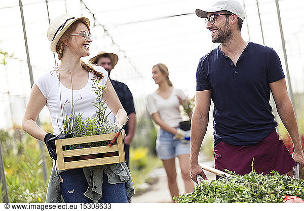 Smiling man and woman transporting plants with a wheelbarrow and wooden box in a greenhouse