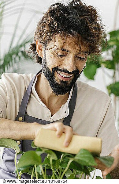 Smiling man cleaning leaf of plant with napkin at shop