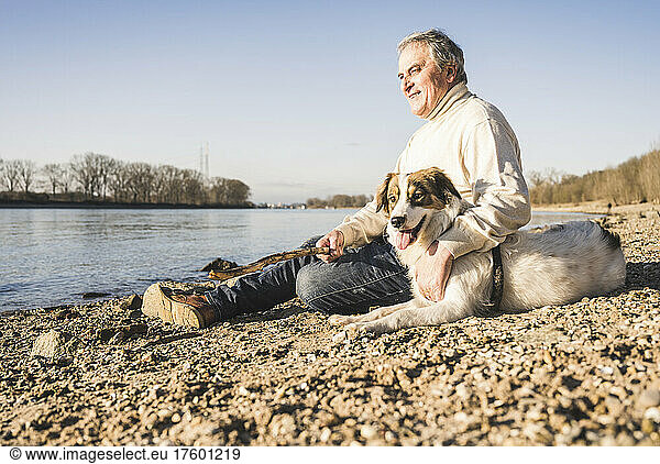 Smiling man holding stick sitting with dog at beach on sunny day