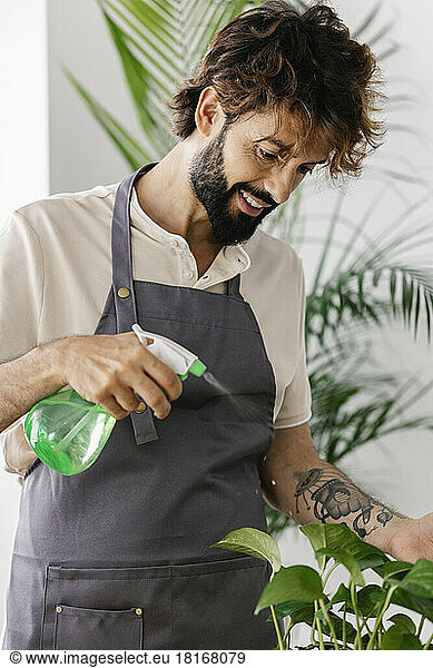 Smiling man spraying water on plant at shop