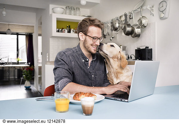 Smiling man with dog using laptop in kitchen at home
