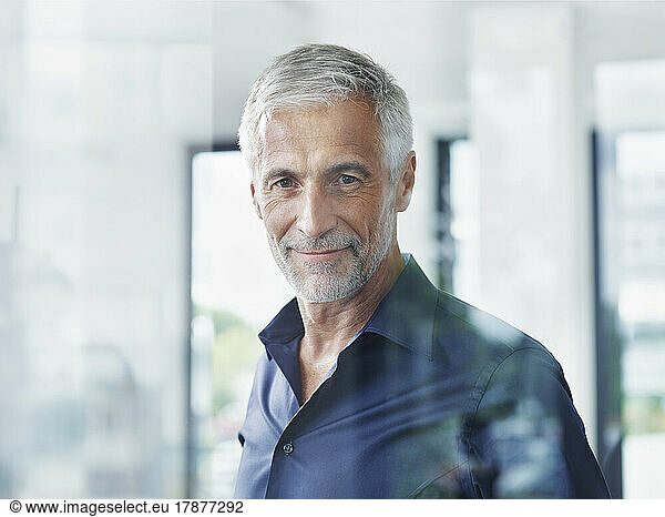 Smiling mature businessman with gray hair
