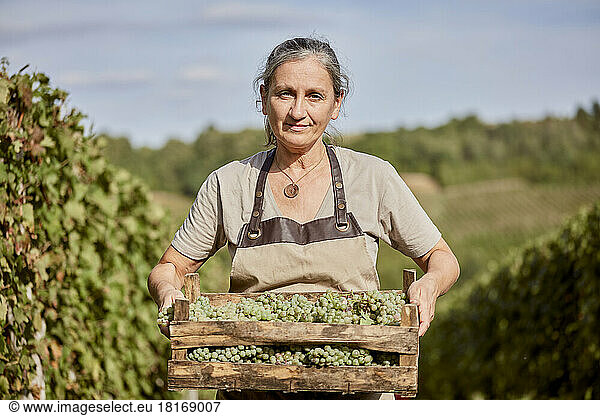 Smiling mature farmer holding crate of grapes at farm on sunny day
