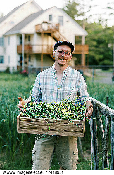 Smiling millennial farmer holding crate of harneck garlic scapes