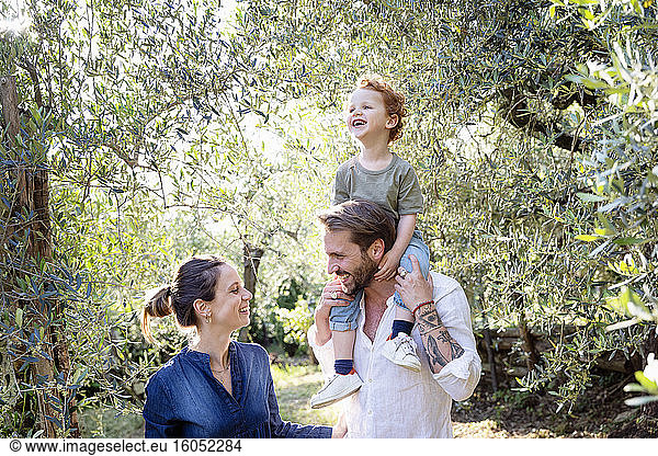 Smiling parents looking at each other while carrying son on shoulders at olive orchard