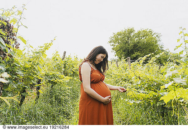 Smiling pregnant woman standing near plants