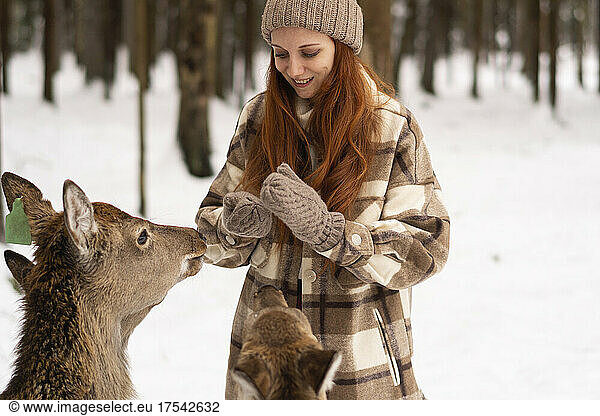 Smiling redhead woman standing in front of deer at forest