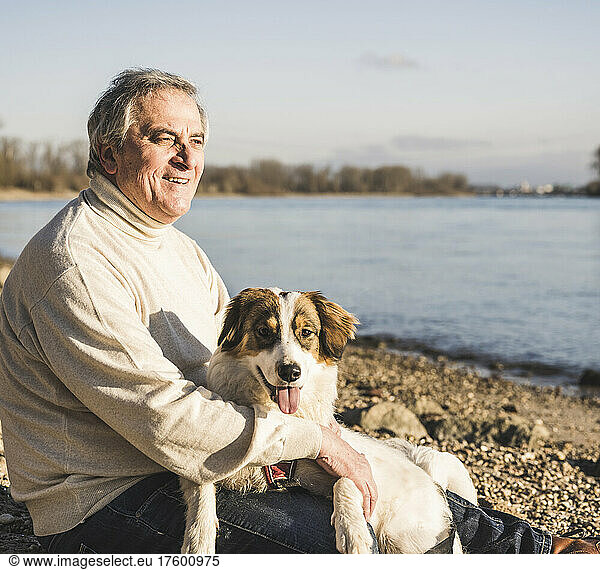 Smiling senior man with dog sitting at beach on sunny day
