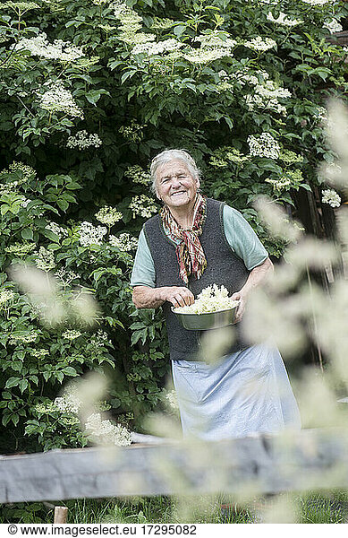 Smiling senior woman holding elderberry flowers in front yard