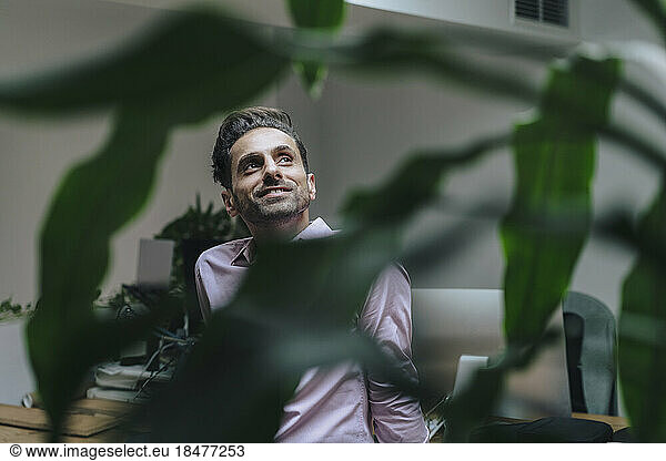 Smiling thoughtful mature businessman in office