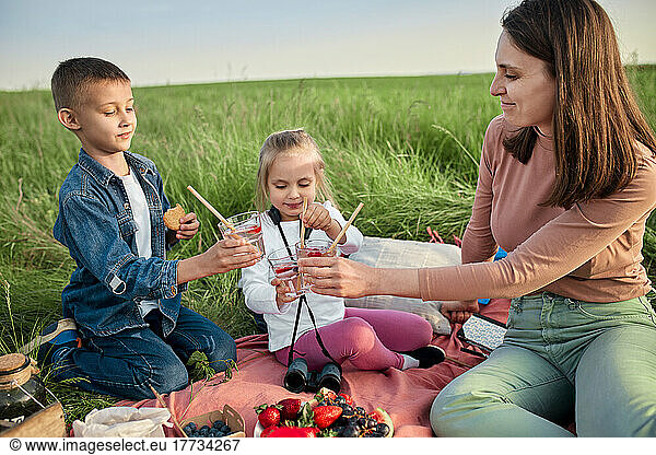 Smiling woman and children toasting infused water glasses on picnic