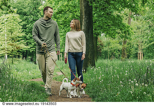 Smiling woman and man walking with Jack Russell Terrier dogs in park