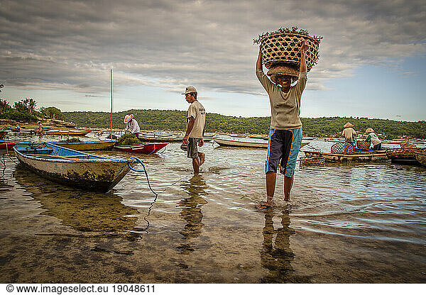 Smiling woman carrying a basket of seaweed on her head.