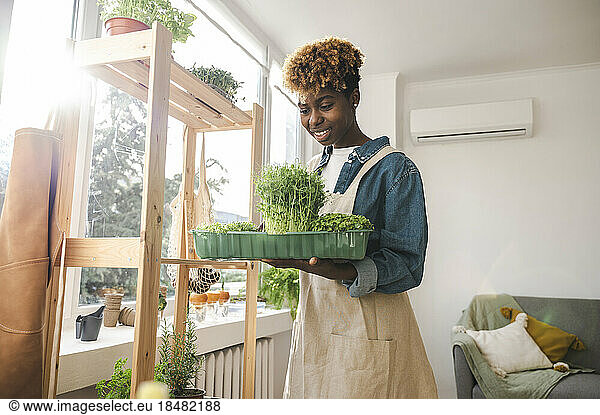 Smiling woman holding microgreen container at home