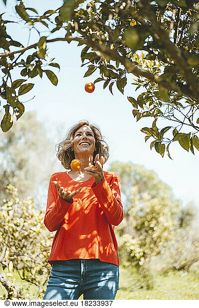 Smiling woman juggling oranges standing by tree