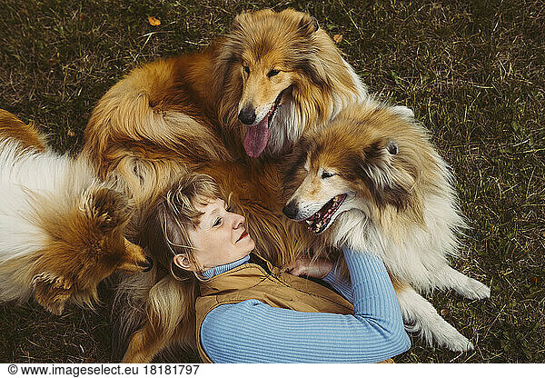 Smiling woman lying with collie dogs on grass at park