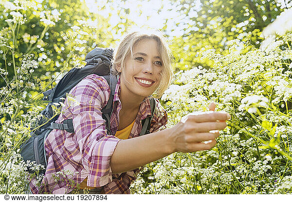 Smiling woman picking flowers in forest