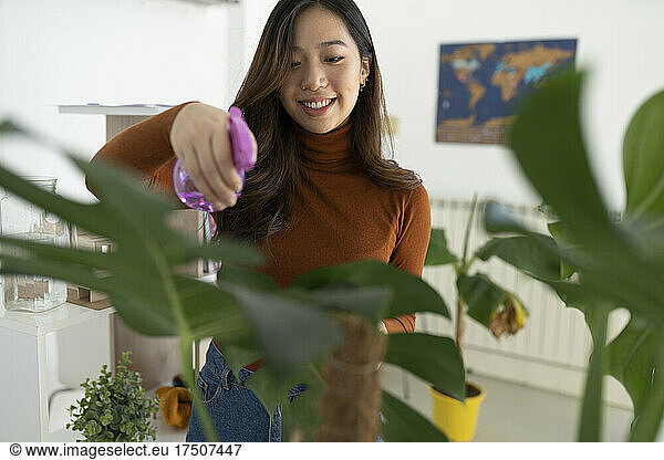 Smiling woman spraying water on plant at home