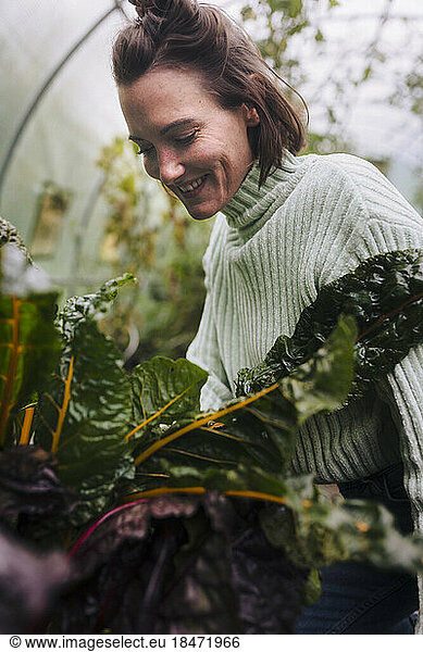 Smiling woman taking care of vegetables in garden