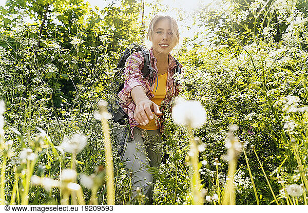 Smiling woman with backpack reaching towards flowers in forest