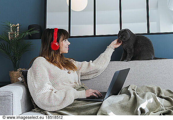 Smiling woman with laptop stroking cat sitting on sofa at home
