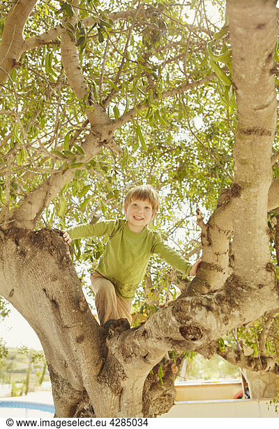 Smiling young boy climbing a tree
