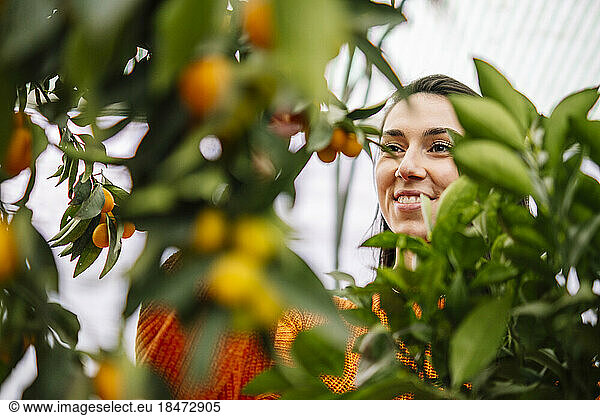 Smiling young woman touching fruits in garden center